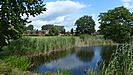 idyllischer Dorfteich in Parow bei Stralsund