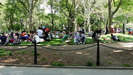 GREENWICH VILLAGE - vielen Leute nutzen das schöne Wetter für eine Pause im Washington Square Park