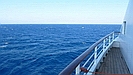 der 2.Seetag auf dem Weg nach Thessaloniki beginnt mit einem ruhigen Meer