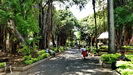 MAURITIUS - im schönen Park "Les Jardins de la Compagnie" legen wir, unter sehr großen Banyan-Bäumen, eine kurze Pause ein