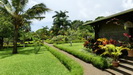 MAURITIUS -  auf dem Weg zur Vanille-Plantage