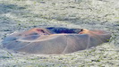REUNION - man kann sogar in die Caldera absteigen und dort herumwandern und den kleinen Krater besuchen