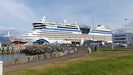 REYKJAVIK - die Aidadiva liegt direkt gegenüber der Insel Viðey im Ortsteil Laugardalur am Cruise Terminal Liegeplatz : Skarfabakki Slot 312