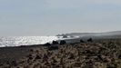 ARUBA - die raue Atlantikküste, nichts ausser flacher Landschaft, Sand und Steine, Himmel und Meer