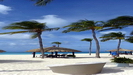 ARUBA - wunderschöner Strand vor dem Hotel mit großen Palmen