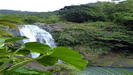 GRENADA - letzter Punkt der Rundfahrt ist der schön gelegene Concord Wasserfall