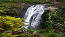 GRENADA - letzter Punkt der Rundfahrt ist der schön gelegene Concord Wasserfall