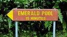 DOMINICA - der Emerald Pool ist eine der Sehenswürdigkeiten von Dominica