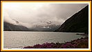 wir verlassen Anchorage und fahren entlang des Turnagain Arm auf die Kenai-Halbinsel