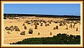 Nambung N.P., The Pinnacles, viele Felsnadel im Sand