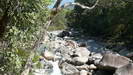 MOSSMAN GORGE - auf dem Lower River Track wandern wir entlang der Gorge mit vielen schönen Lookouts 
					