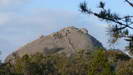 GIRRAWEEN NATIONALPARK - immer in Sichtweite der Gipfel des "Pyramid Rock"