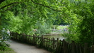 der "Kleine Teich" im Volkspark Friedrichshain