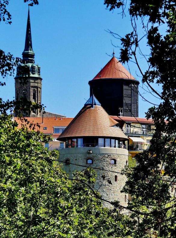 der Protschenberg bietet uns ein schöne Aussicht auf die Ortenburg und die Altstadt von Bautzen