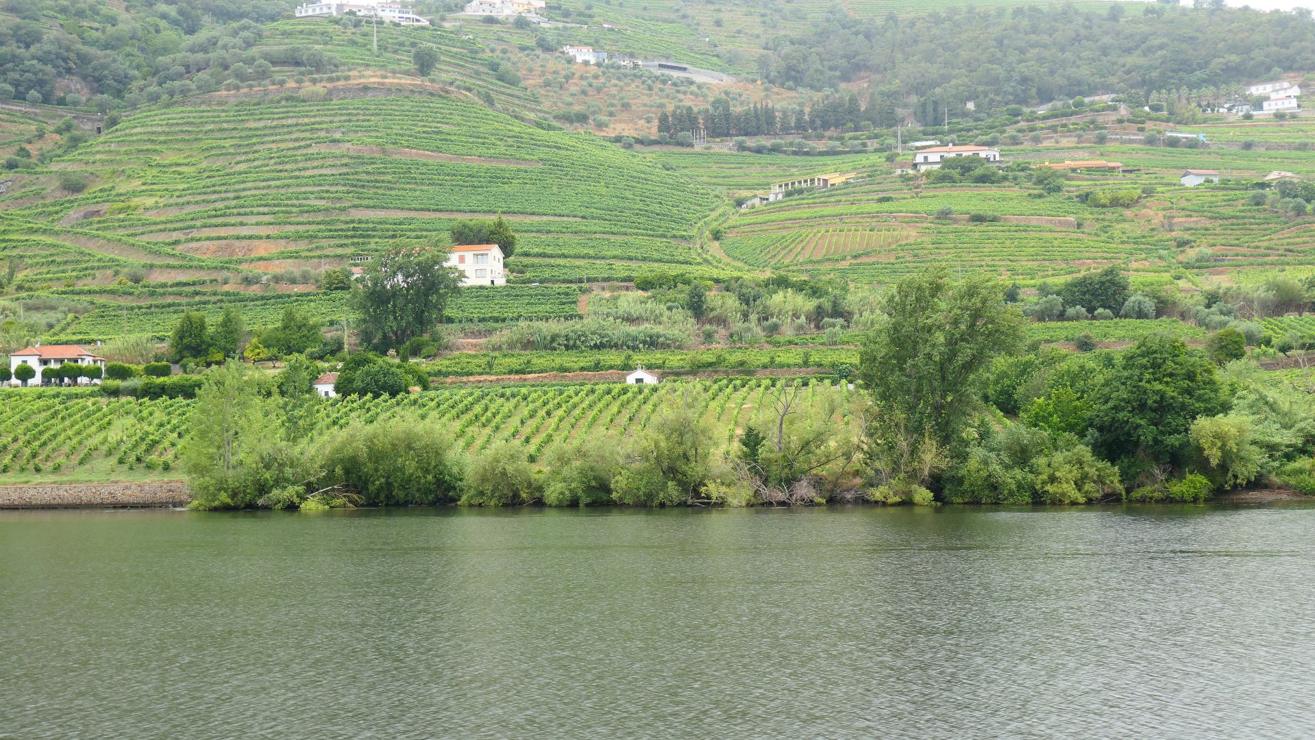 UNTERWEGS - von  Mesão Frio bis zur spanischen Grenze bildet die Gegend um den Duero die Weinregion Alto Douro, <br/> das streng abgegrenzte Anbaugebiet des Portweins
