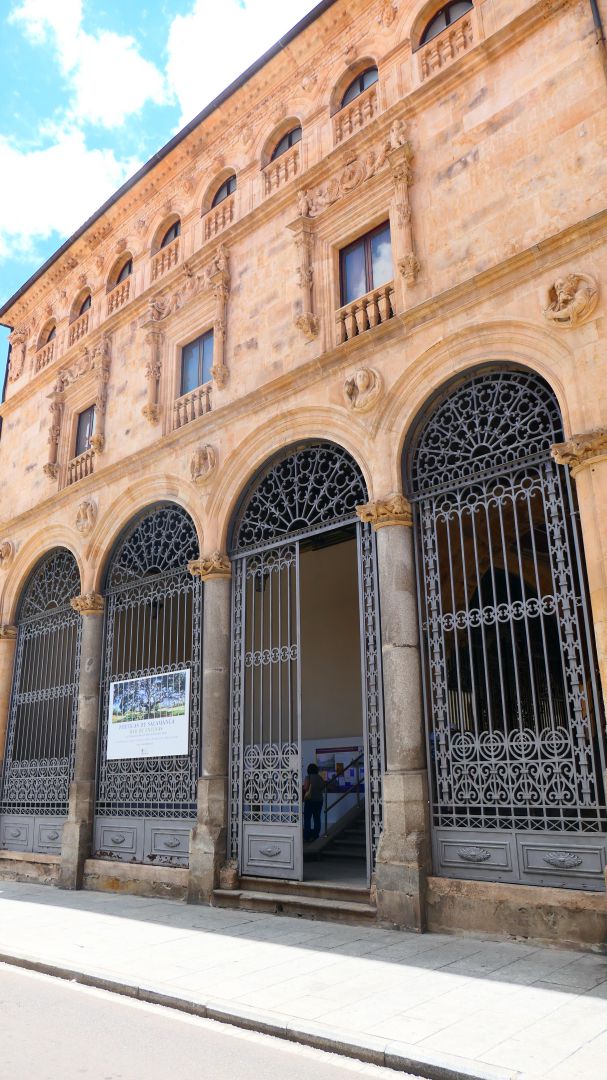 SALAMANCA - der Palacio de La Salina, der schon 1583 im Renaissance-Stil erbaut wurde ist absolut sehenswert