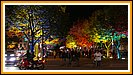 Selbst die Bäume auf dem Prachtboulevard "Unter den Linden" werden mit der Farbenpracht des Herbstes angestrahlt