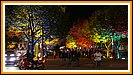 Selbst die Bume auf dem Prachtboulevard "Unter den Linden" werden mit der Farbenpracht des Herbstes angestrahlt