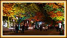 man fhlt sich fast wie im "Indian Summer"
