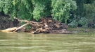 A-ROSA BRAVA - Reste die das Rheinhochwasser hinterlassen hat