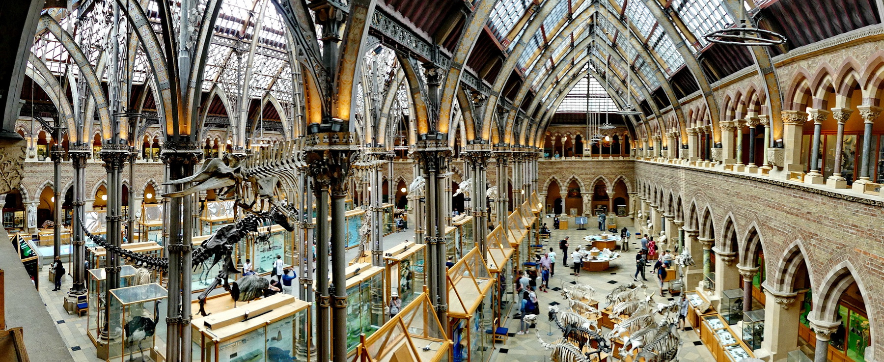 OXFORD - das Naturkundemuseum ist architektonisch ein sehr interessantes Museum
