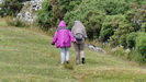 DARTMOOR - bis jetzt war es trocken, leider setzt nun aber Regen ein und wir verlassen Dartmoor und fahren nach Buckfast