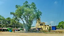 wir besuchen den großen Ranganathaswamy Tempel in Shrirangapattana