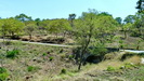 unterwegs im Bandipur Tiger Reserve