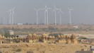 die Gedenkstätte Vyas Chhatri aus dem 15.Jhdt., dahinter Windräder aus dem 21.Jhdt.