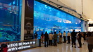 DUBAI - über 33000 Tiere beherbergt das Aquarium hinter den dicken, spiegelnden Glasscheiben