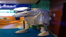 NORWEGIAN JADE / DECK 12 - ohne Worte