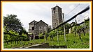 zu vielen Kirchen gehrte ein Weinberg gleich mit dazu