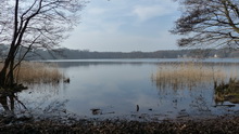 Spaziergang zu Frhlingsbeginn um den Summter See