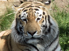 Besuch im Zoo von Leipzig 2007