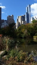 The Pond im Central Park - ringsherum stehen die Wolkenkratzer