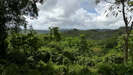 wunderschöner Aussichtspunkt in das grüne Jamaika in der Nähe des Ortes Colgate wunderschöner Aussichtspunkt in das grüne Jamaika in der Nähe des Ortes Colgate
