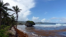 am Bathsheba Beach finden, wegen der guten Wellen, regelmig Surf-Wettbewerbe statt