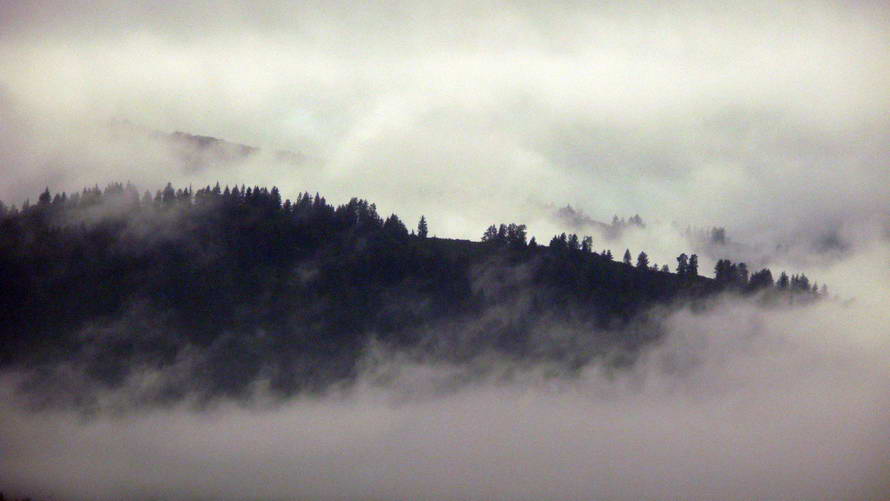 dichter Nebel liegt über der Landschaft, wir sind sehr enttäuscht