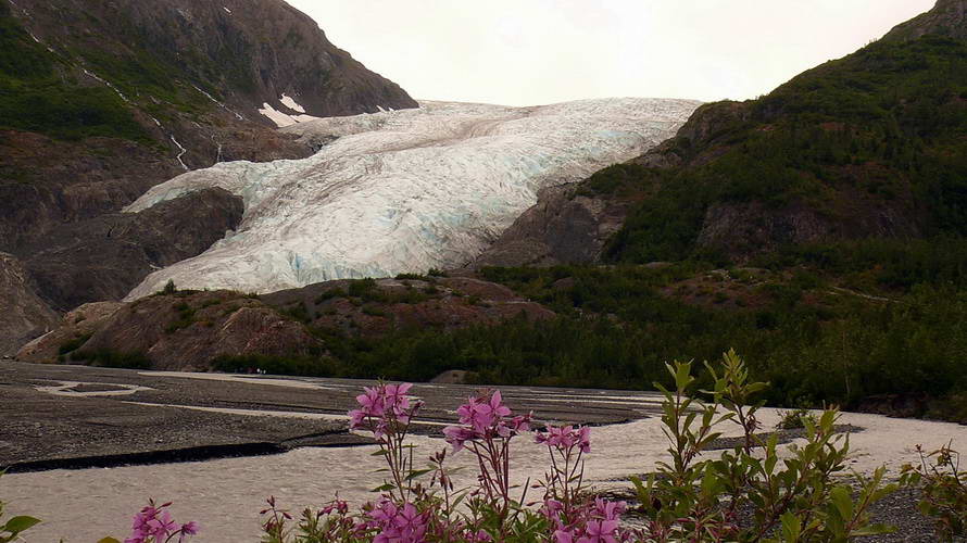 der Exit Gletscher, gespeist vom Harding Icefield auf der Kenai-Halbinsel kurz vor Seward der Exit Gletscher, gespeist vom Harding Icefield auf der Kenai-Halbinsel kurz vor Seward