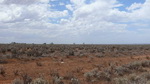 Bitte anklicken zum Vergrößern Landschaft vor Port Augusta