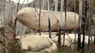 der Torpedo Rock im Mt. Buffalo National Park