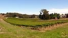 Bitte anklicken zum Vergrößern Weinanbau in den Adelaide Hills