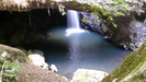 SPRINGBROOK NATIONALPARK - ein Wasserfall durchbrach ein Höhlendach und schuf dadurch die 	"Natural Bridge	"