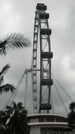 SINGAPUR - der Singapur Flyer ist mit 165 m das zur Zeit (2011) h�chste Riesenrad der Welt 