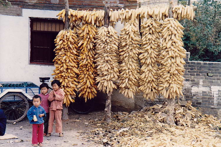unterwegs - hier wird Mais direkt an der Straße getrocknet unterwegs - hier wird Mais direkt an der Straße getrocknet