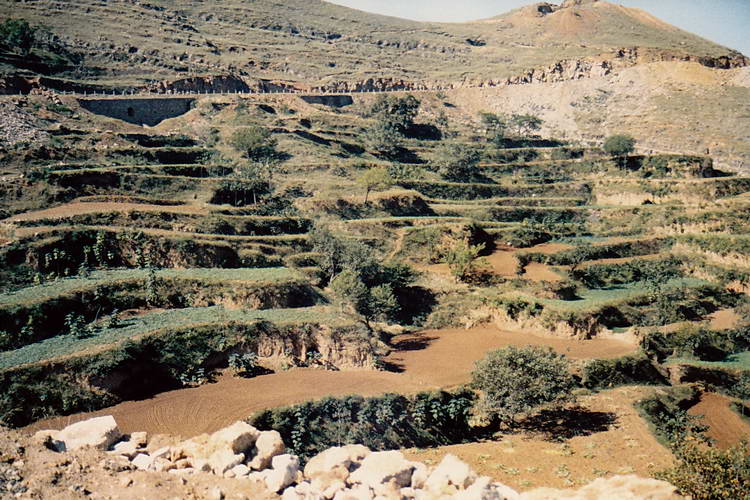 auf dem Weg zum Shaolin-Kloster, an den Bergh�ngen sind Terrassenfelder angelegt