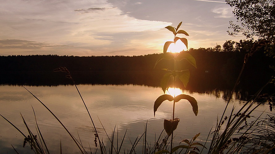 Abendstimmung am Wirchensee beim ersten Spaziergang