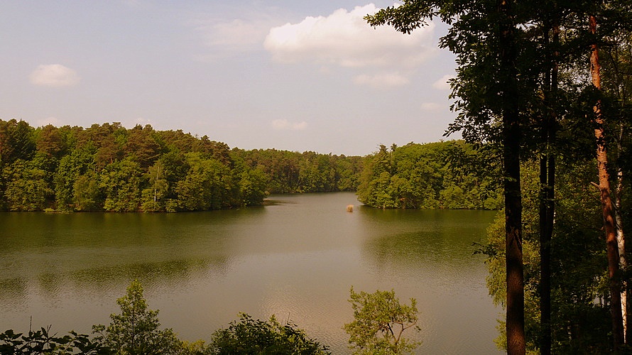 Aussicht vom Frsterblick Wirchensee inmitten ausgedehnter Wlder