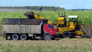 UNTERWEGS - in Kuba wird Zuckerrohr teilweise schon maschinell geerntet 