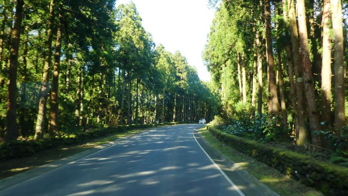 TERCEIRA - die Landschaft ver�ndert sich